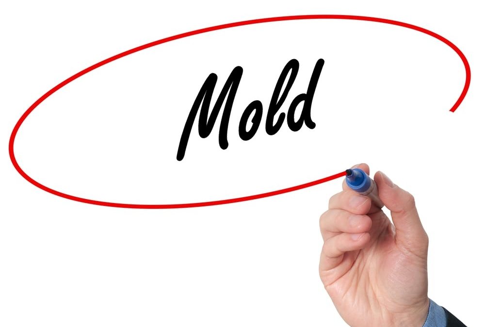 Mold Inspections in New Jersey: What Every Homeowner Needs to Know