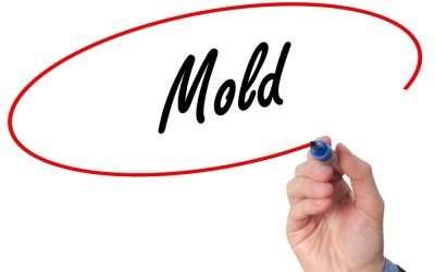 Mold Inspections in New Jersey: What Every Homeowner Needs to Know