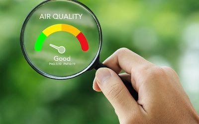 Why Mold Air Quality Testing Matters for New Jersey Homes